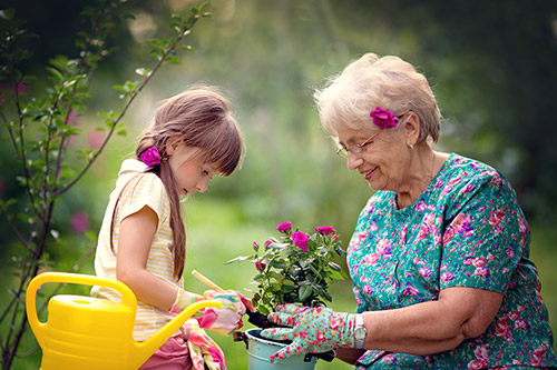 Spring Activity Recommendations for you and Your Senior Loved One - Ellijay, GA